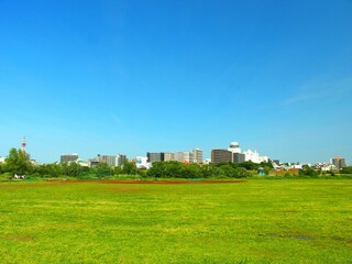 Obraz premium 初夏の江戸川の野球場のある河川敷風景