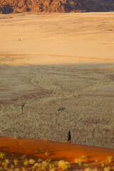 A tranquil desert landscape from Elim Dune, Namibia, featuring an oryx grazing on golden plains with red-hued mountains in the background with a lone figure walking barefoot.
