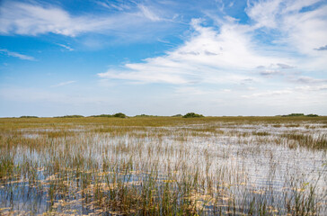 Swamp land at Everglades National Park, Florida, United States