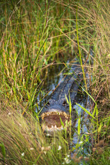Everglades National Park, Florida, United States