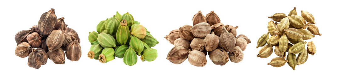 Assorted Nuts and Seeds Set Isolated Transparent Background PNG Image