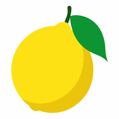 lemon vector