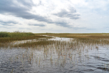 Swamp land at Everglades National Park, Florida, United States