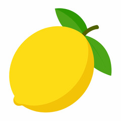 lemon vector