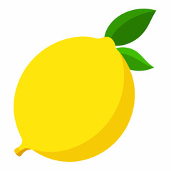 lemon vector