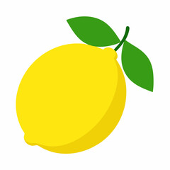 lemon vector