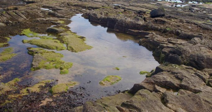 mid shot of rockpools at low tide at Longhoughton beach of the howdiemony sands. Alnwick