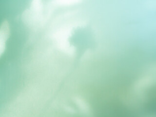 Green background wall shadow green summer sunight overlay nature on room cement floor abstract blur muckup effect minimal platform for presentation product backdrop, wallpaper template display