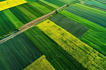 Spring Harvest