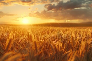 Obraz premium Spring Harvest