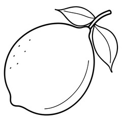 a silhouette lemon vector line art