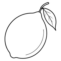 a silhouette lemon vector line art