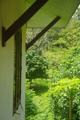 bridge over the river