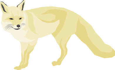 Illustration of polar animals