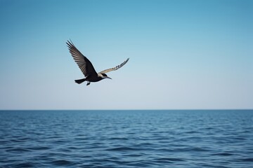Obraz premium there is a bird flying over the ocean with its wings spread