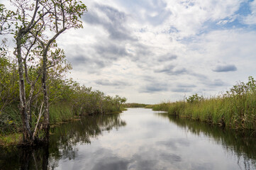 Swamp land at Everglades National Park, Florida, United States