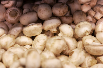 A large pile of brown mushrooms that has a white stem on them