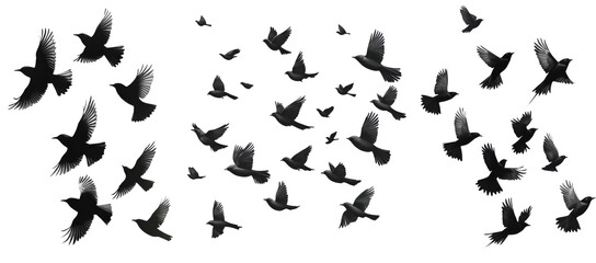 Naklejka premium Group of black birds in flight minimalist illustration isolated on transparent background