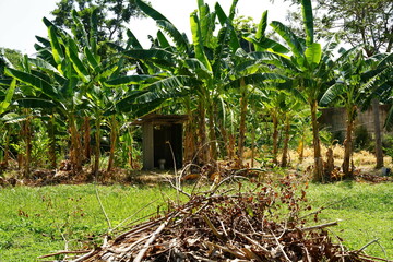 field in the countryside