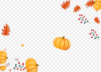 Green Pumpkin Background Transparent Vector. Orange Cute Card. Red Vegetable Decorative Texture. Plant Vibrant. Autumn Banner.