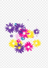 Green Gerbera Background Transparent Vector. Leaf Beautiful Backdrop. Bright Petal Small. Beauty Print. Spring Yellow Flowers.