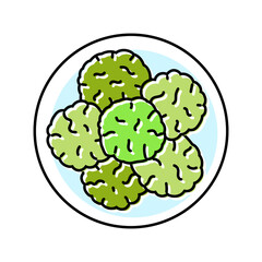 energy bar raw foodist color icon vector. energy bar raw foodist sign. isolated symbol illustration