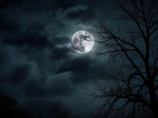 Fototapeta premium moon in the dark