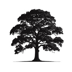 Fototapeta premium A tree silhouette isolated on white