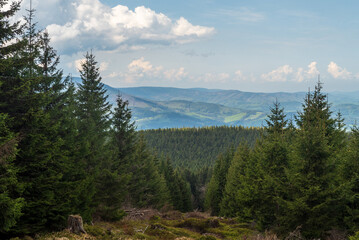 View bellow Jeleni loucky hill summit in Jeseniky mountains in Czech republic