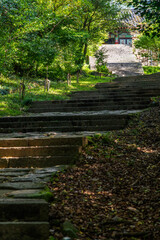 stairway to the Buddhist temple
