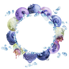 Blueberry blackberry, drops flying in water splash, hand drawn in watercolor, ripe summer forest berry. Isolated wreath frame illustration. Restaurant, cafe sweets menu, farmers market, recipe book