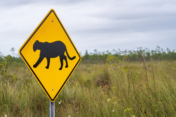Bobcat Warning Sign On Road, Everglades National Park, Florida, United States