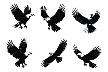 Obraz premium Bald Eagle Silhouette Collection with Dynamic Flying and Hunting Poses