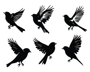 Obraz premium Bird Silhouette Set with Flying and Perching Poses in Black Vector Design