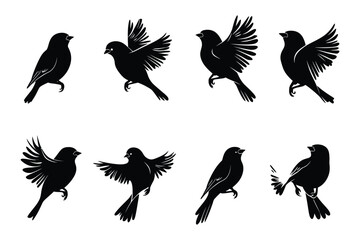 Fototapeta premium Collection of Bird Silhouettes in Flight and Perching with Elegant Wing Details