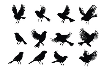 Obraz premium Silhouette Set of Birds in Motion and Rest with Detailed Wing Designs