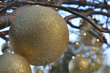 christmas tree decorations golden balls with sparkles hanging on tree branches outdoors. Closeup photo. Christmas greeting concept.free copy space.