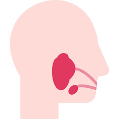 Salivary Glands Icon