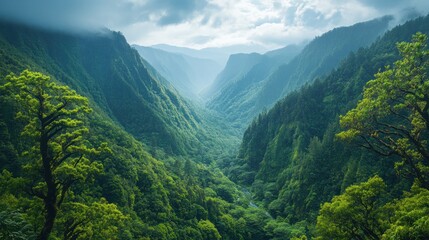 Lush green valley nestled between majestic mountains under a dramatic sky.