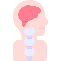 Cerebrospinal Fluid Icon