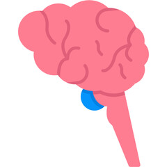 Thalamus Icon