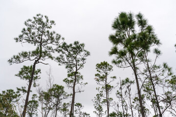 Everglades National Park, Florida, United States