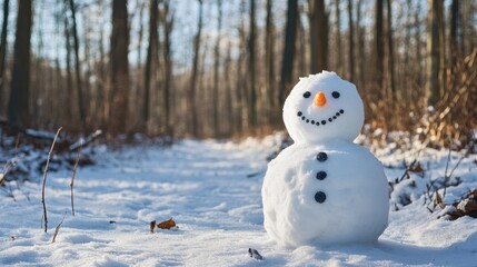 The Cheerful Snowman in Forest