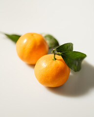 oranges and tangerines with leaves whole and in size lie on a white background