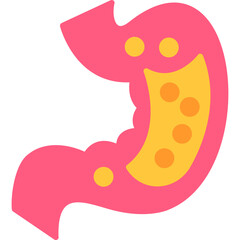 Gastric Mucosa Icon