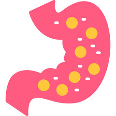 Stomach Function Icon