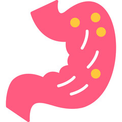 Stomach Anatomy Icon