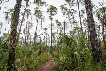 Everglades National Park, Florida, United States