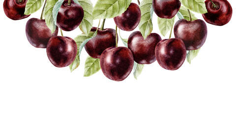 Sweet cherry berries branches, cherry fruits and leaves. Isolated Hand drawn watercolor frame. Summer banner for wedding design, packaging of goods, menu, cosmetic, greeting card