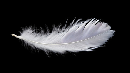 Obraz premium A pure white feather floating in mid-air